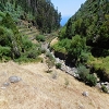 Plants: image 143 Of 208 Thumb